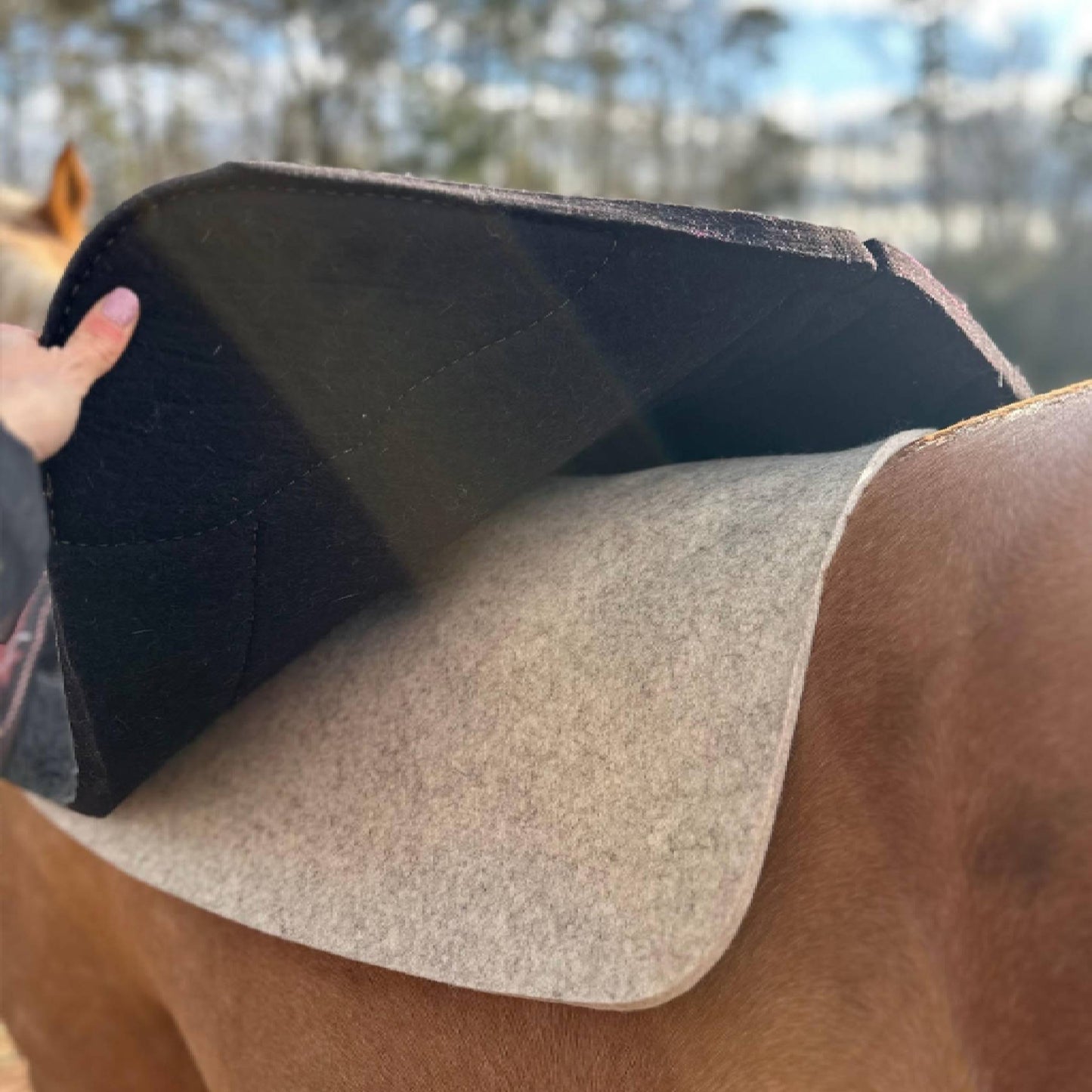 5 Star Wool Pad Liner