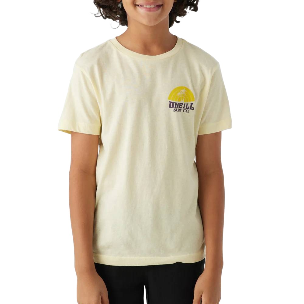 *O'Neill Boy's Shaved Ice Tee - FINAL SALE - Large