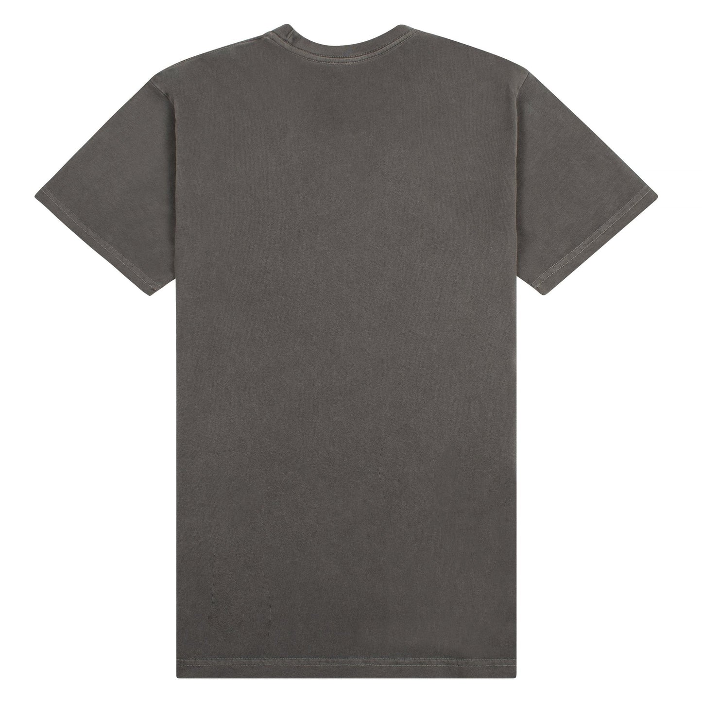 Living the Dream Tee | Washed Black