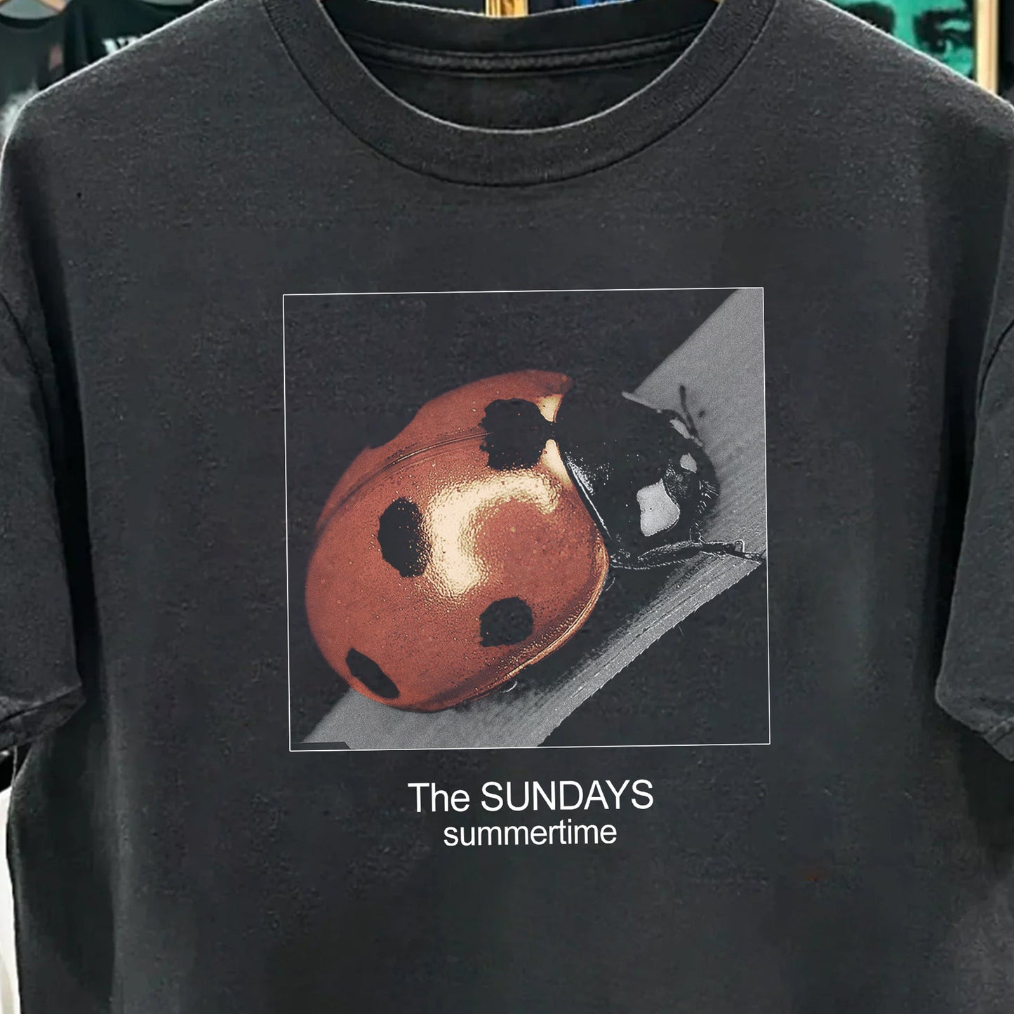 97 The Sundays Summertime Ladybug Washed Black T-Shirt