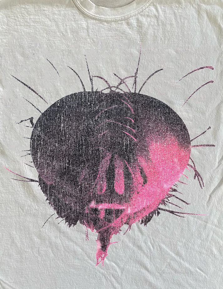 94 Alice In Chains Jar Of Flies Vintage Washed White Tee