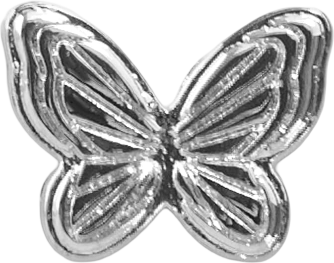 Slider Block Butterfly Charm