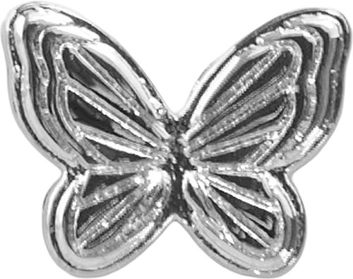 Slider Block Butterfly Charm