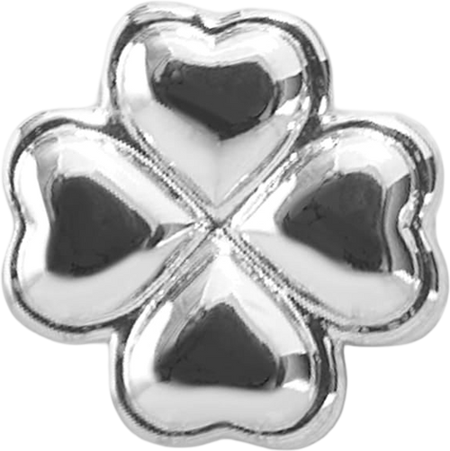 Slider Block Clover Charm