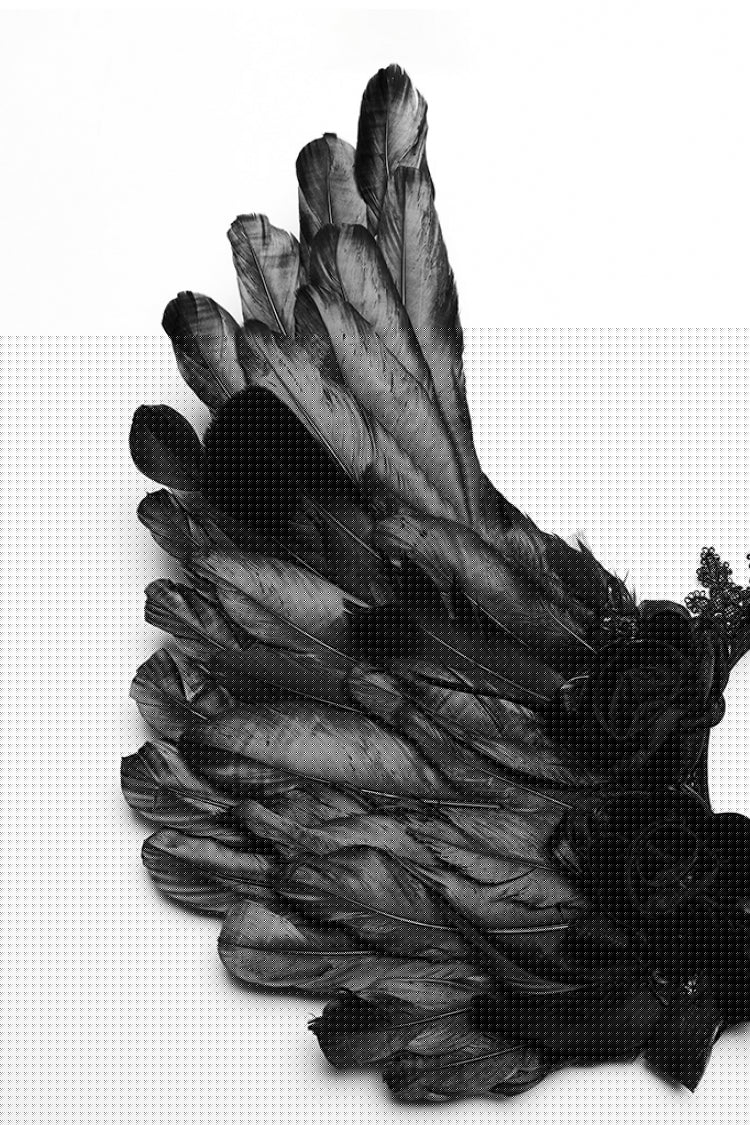 Black Lace Faux Feather Wing Women's Gothic Headwear