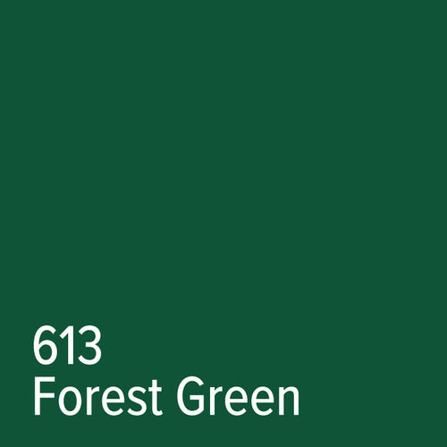 613 Forest Green - Adhesive Vinyl | Oracal 651