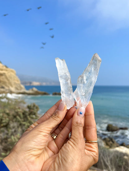 Lemurian Root Singing Crystal