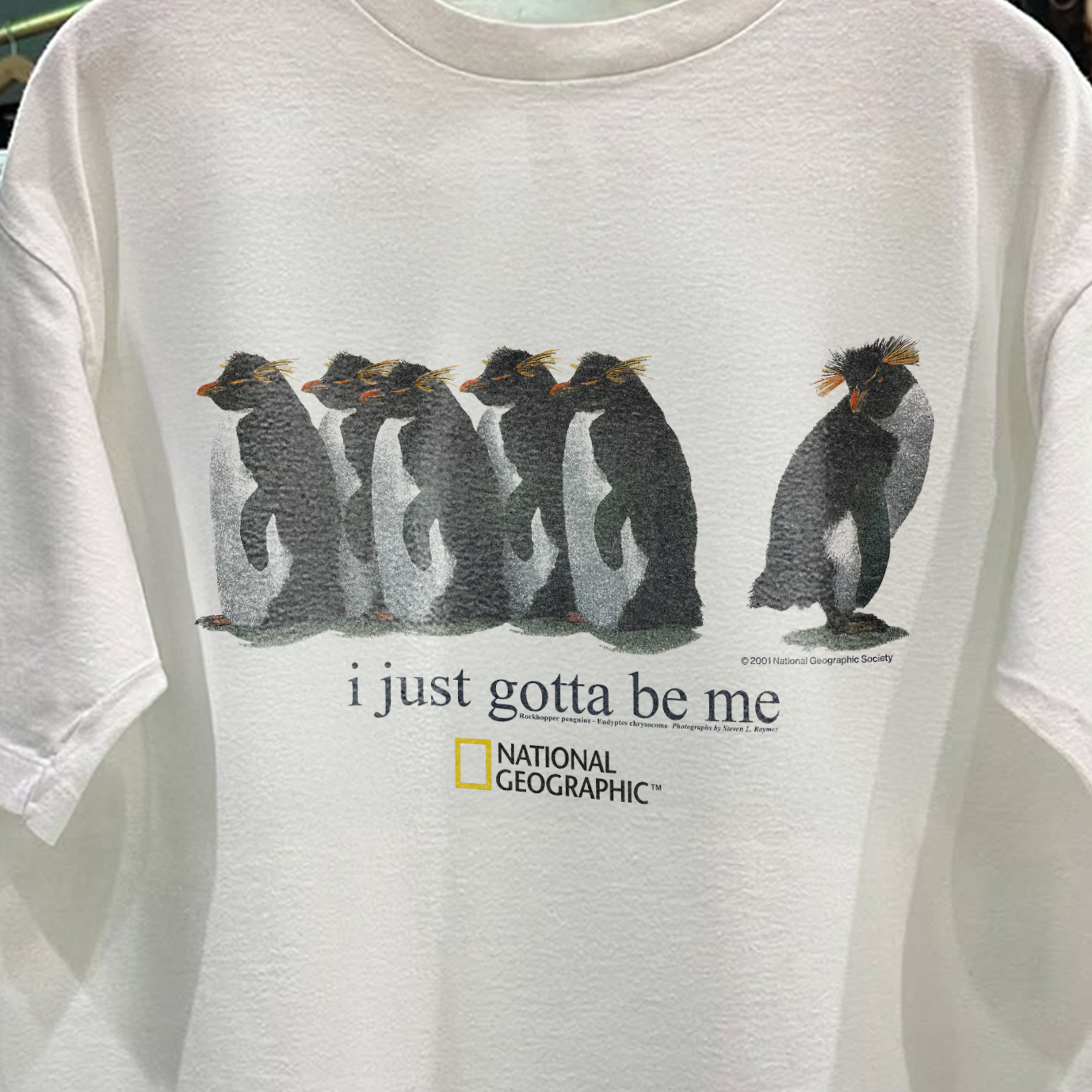 2001 'I Just Gotta Be Me' Rockhopper Nat Geo Rare Washed White T-Shirt