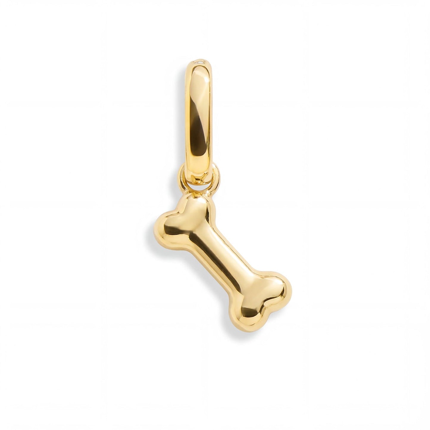 Bone Charm