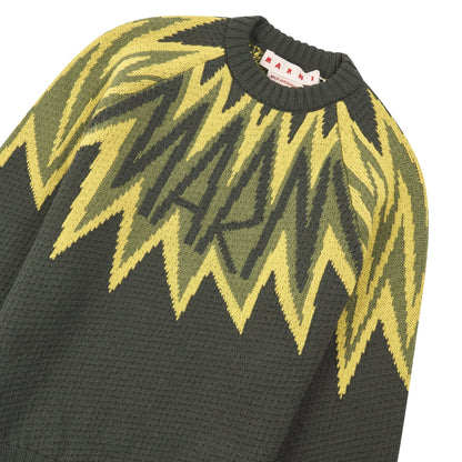 Fire Island Sweater | Leav Green