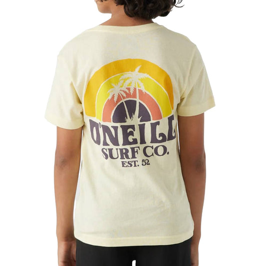 *O'Neill Boy's Shaved Ice Tee - FINAL SALE - Large