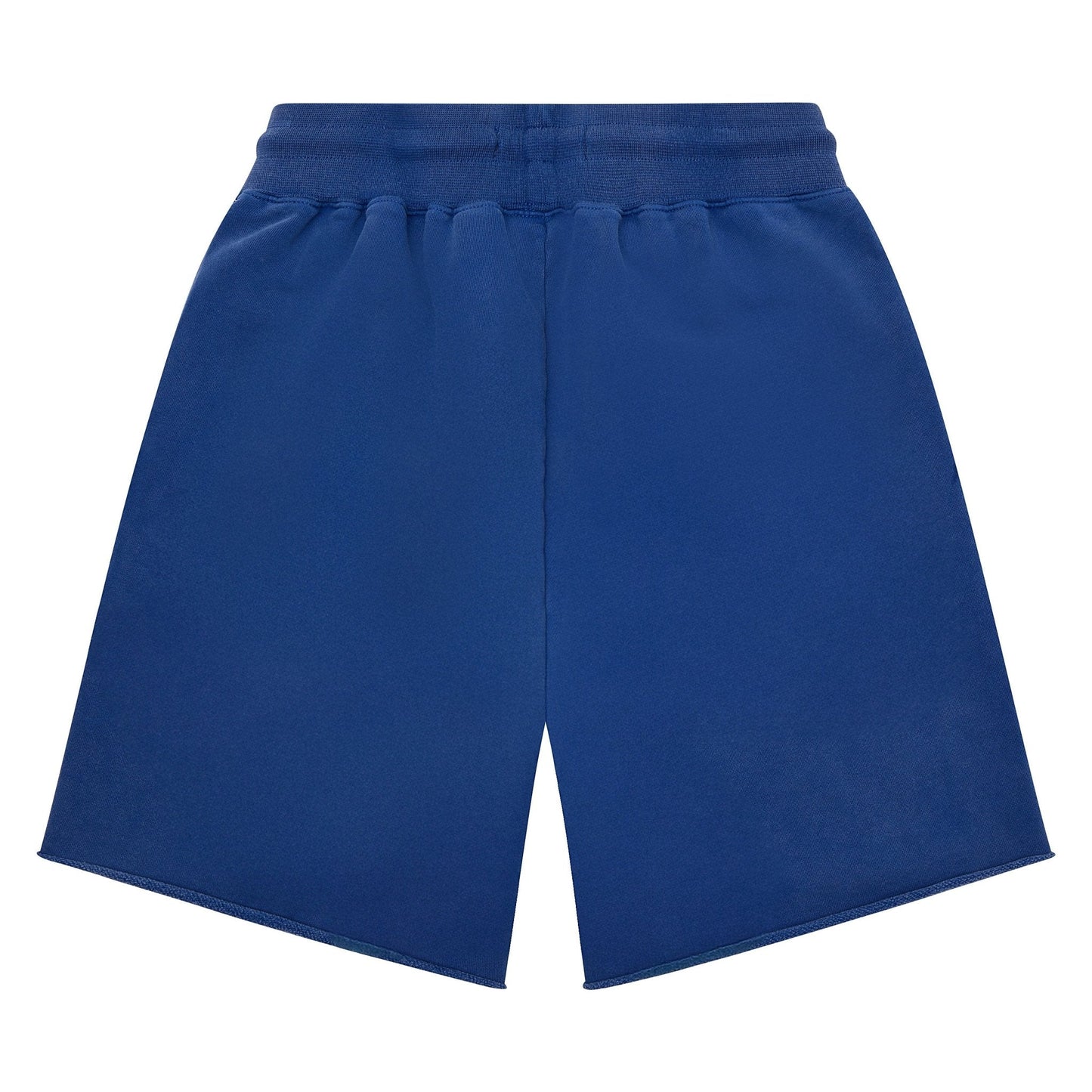 Screen Wordmark Sweatshort | Blue