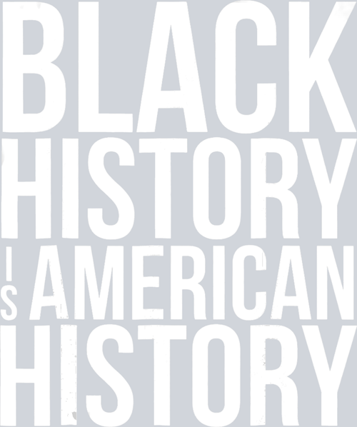 Black History Is American History 26 - STK00721 (DTF Transfers)