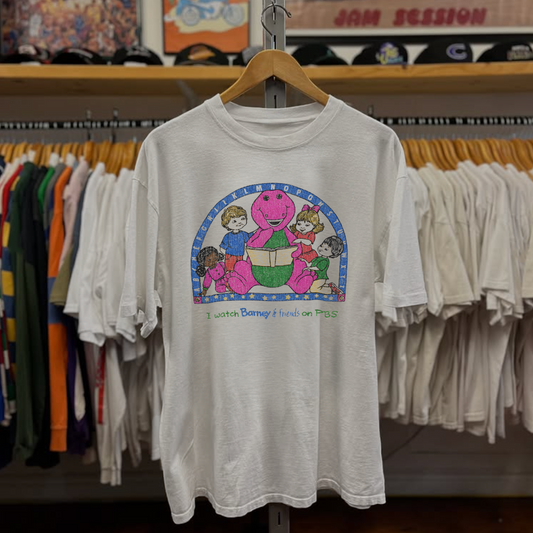 Barney & Friends PBS Washed White Tee